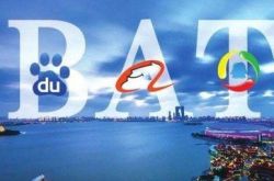 [8分钟教程]阿勒泰地区行署官网公告公示_哔哩哔哩-2